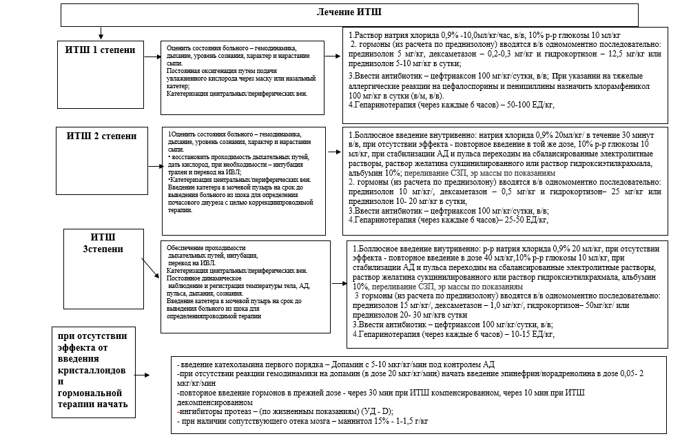 Алгоритм диагностики и лечения менигококковой инфекции у детей 3