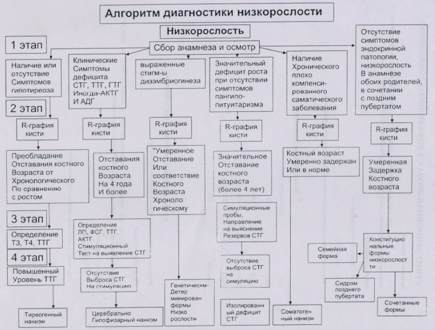 Алгоритм диагностики низкорослости