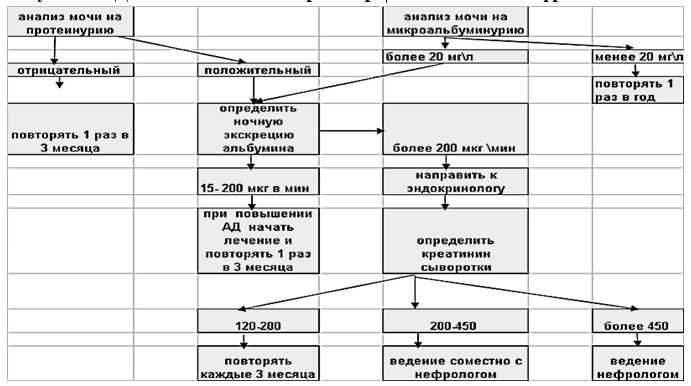 Диагностический алгоритм при диабетической нефропатии