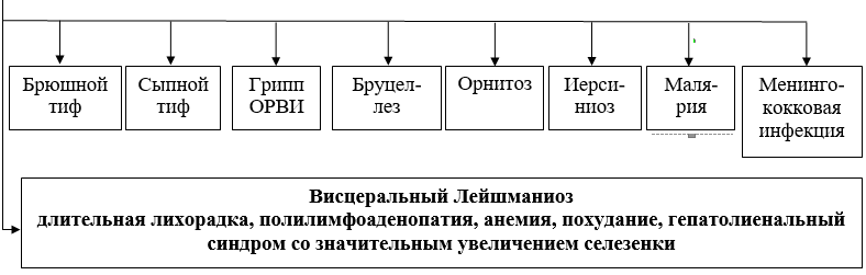 Алгоритм диагностики висцерального лейшманиоза