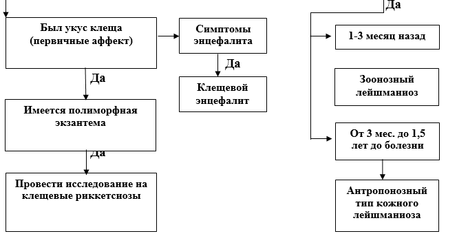 Алгоритм диагностики висцерального лейшманиоза