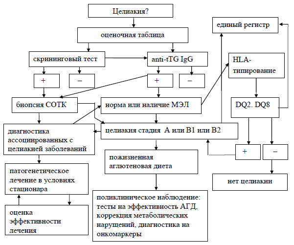 Алгоритм диагностики целиакии у детей