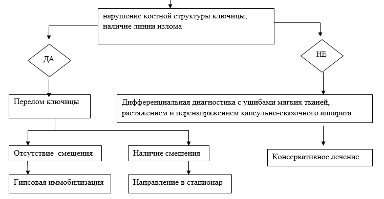 Диагностический алгоритм при переломах и вывихах ключицы у детей