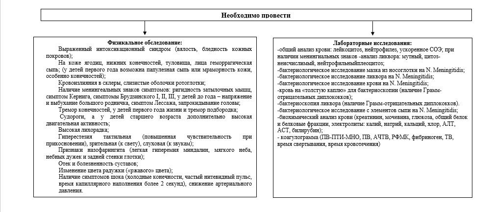 Алгоритм диагностики и лечения менигококковой инфекции у детей 2