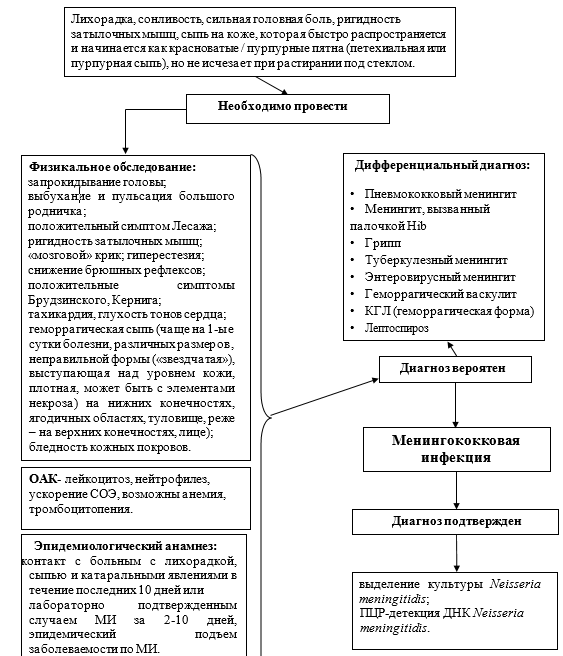 Диагностический алгоритм Менингококковая инфекция у детей