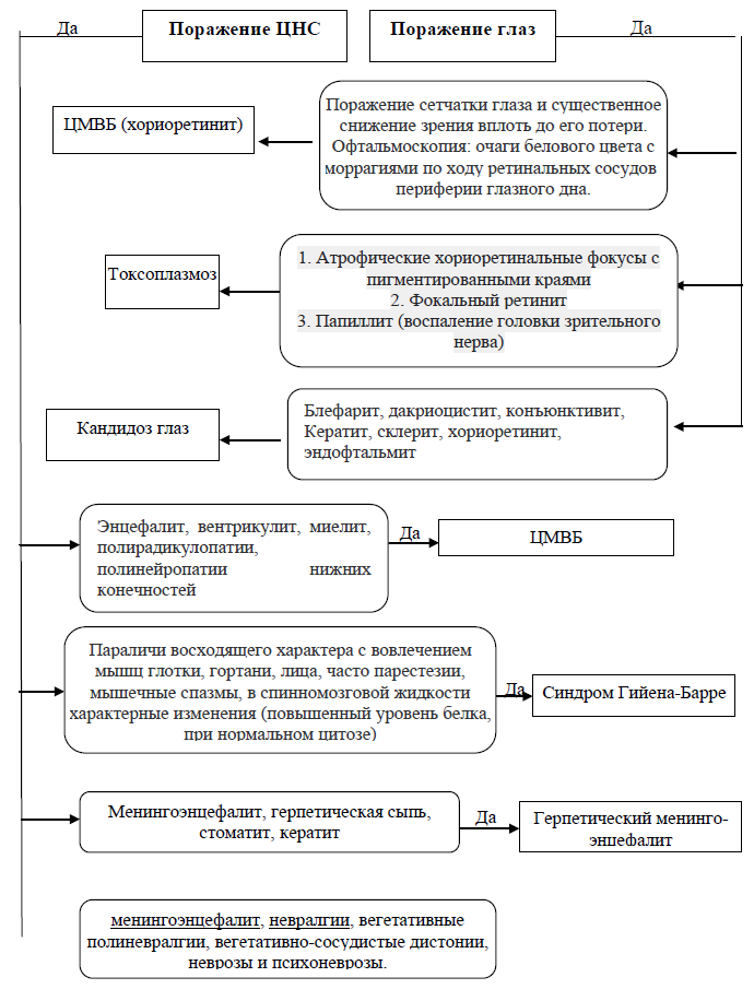 Алгоритм дифференциальной диагностики при цитомегаловирусной болезни