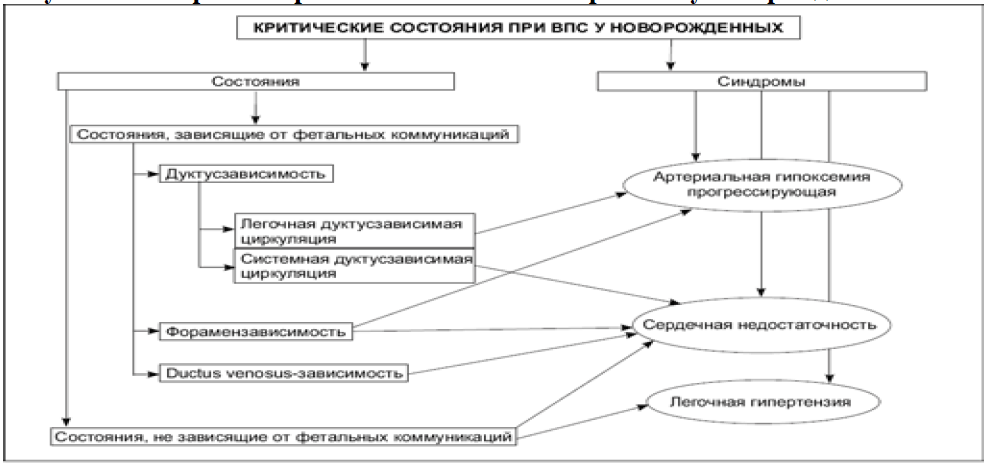 Прогноз критических состояний при ВПС у новорожденных