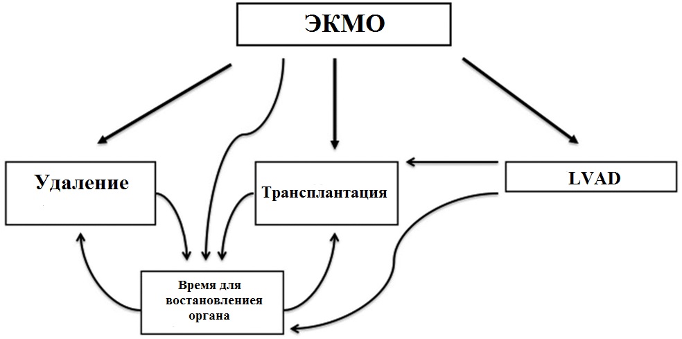 Экстракорпоральная мембранная оксигенация