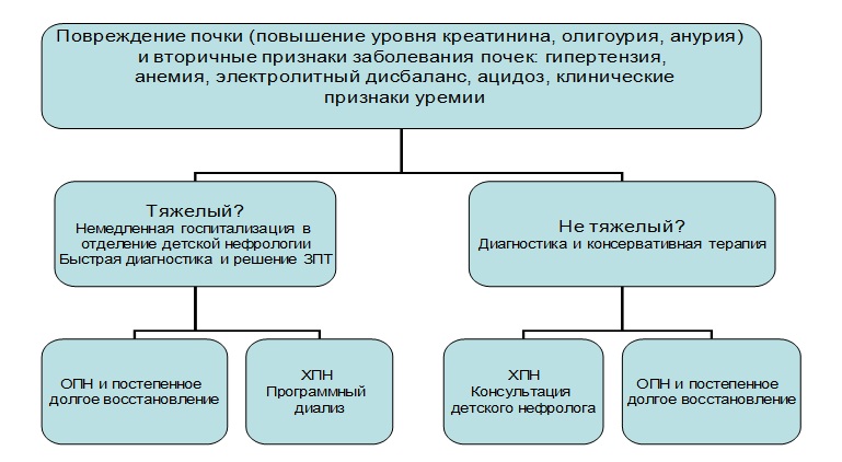 Алгоритм при почечной недостаточности